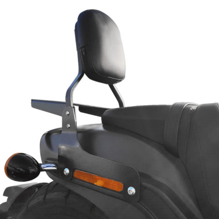 Portapacchi HARLEY DAVIDSON SOFTAIL FL (2018-...)