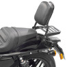 Portapacchi HARLEY DAVIDSON Roadster XL1200CX - Spaan